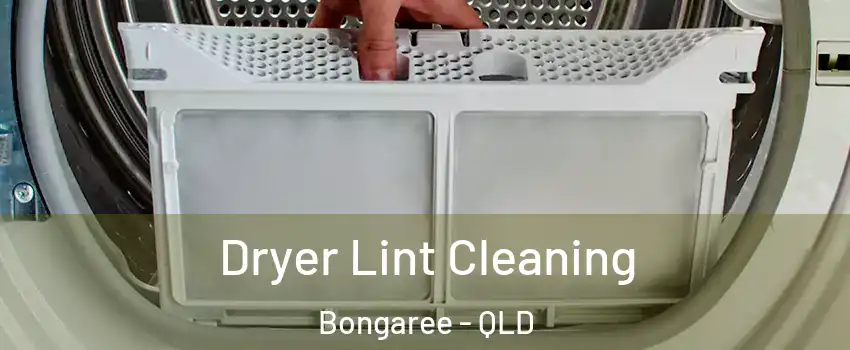 Dryer Lint Cleaning Bongaree - QLD
