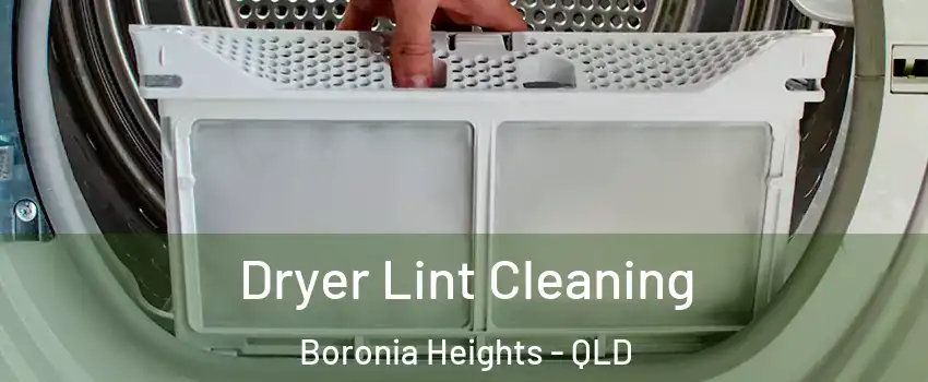 Dryer Lint Cleaning Boronia Heights - QLD