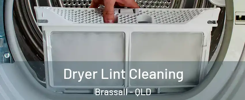 Dryer Lint Cleaning Brassall - QLD