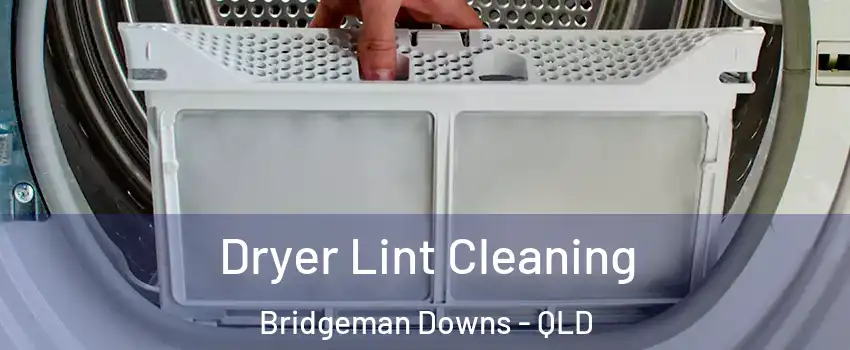 Dryer Lint Cleaning Bridgeman Downs - QLD