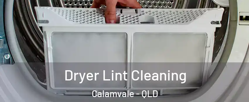Dryer Lint Cleaning Calamvale - QLD