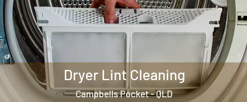 Dryer Lint Cleaning Campbells Pocket - QLD