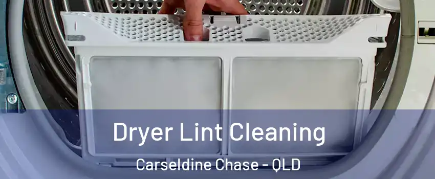 Dryer Lint Cleaning Carseldine Chase - QLD
