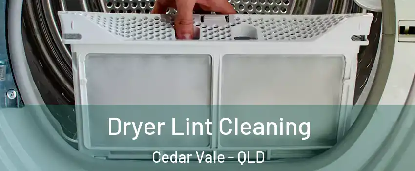 Dryer Lint Cleaning Cedar Vale - QLD