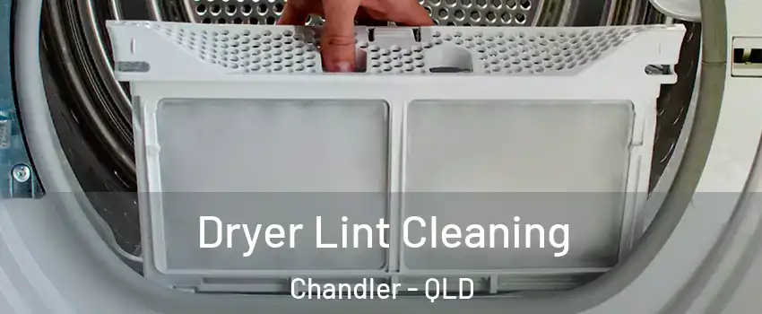 Dryer Lint Cleaning Chandler - QLD