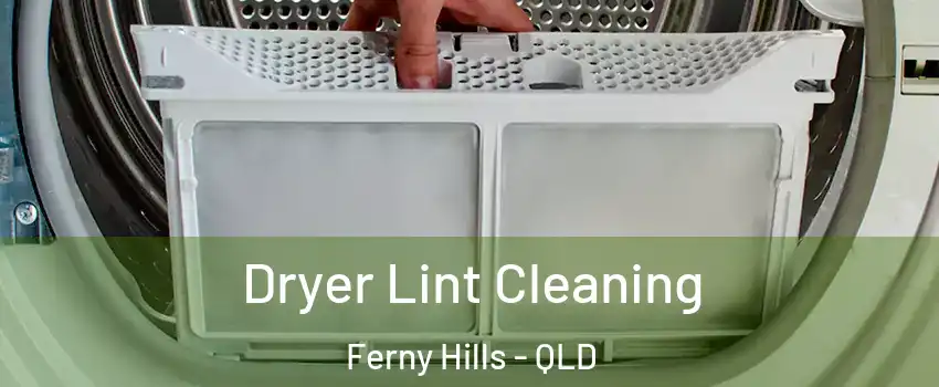 Dryer Lint Cleaning Ferny Hills - QLD