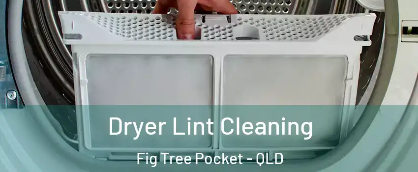 Dryer Lint Cleaning Fig Tree Pocket - QLD