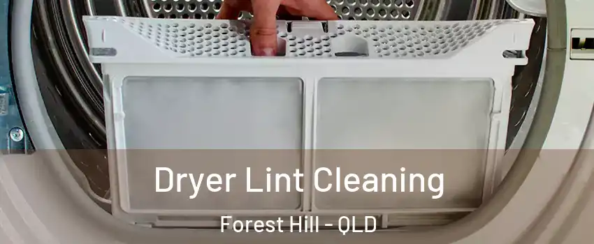 Dryer Lint Cleaning Forest Hill - QLD