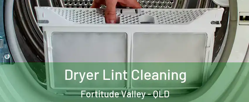 Dryer Lint Cleaning Fortitude Valley - QLD