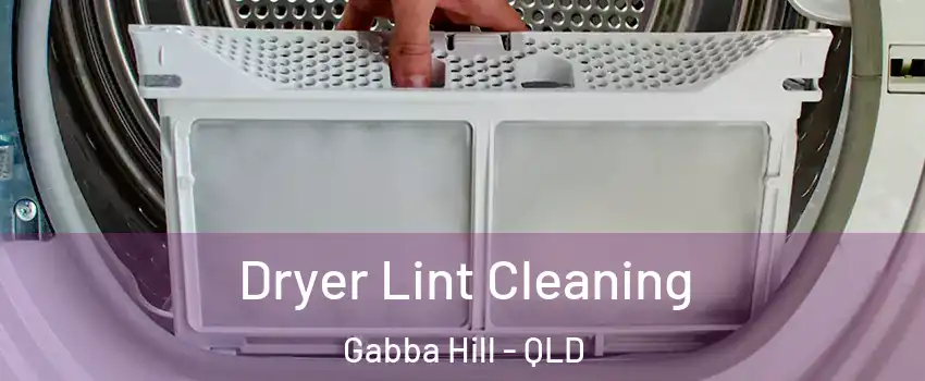 Dryer Lint Cleaning Gabba Hill - QLD