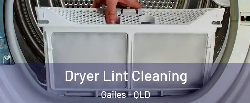 Dryer Lint Cleaning Gailes - QLD