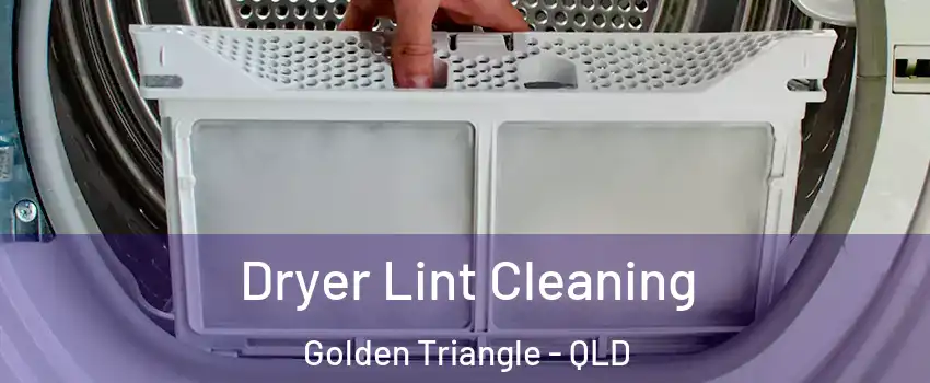 Dryer Lint Cleaning Golden Triangle - QLD