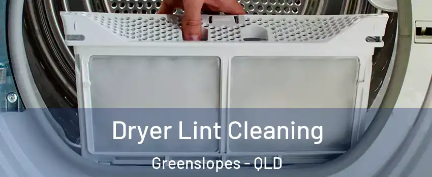 Dryer Lint Cleaning Greenslopes - QLD