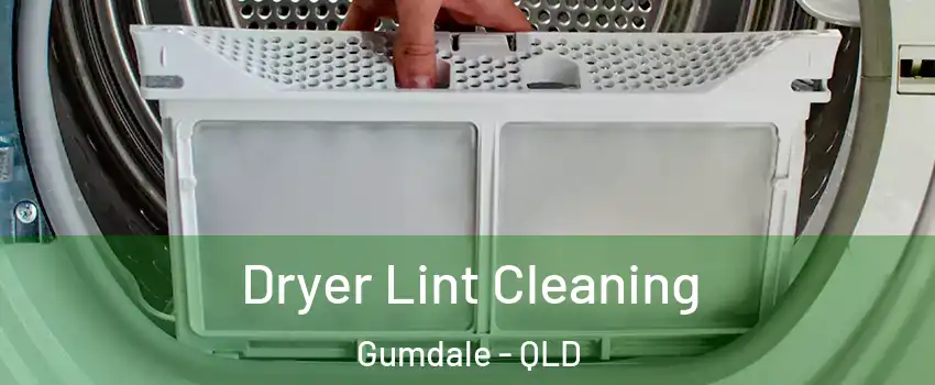 Dryer Lint Cleaning Gumdale - QLD
