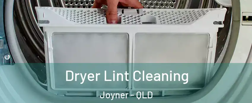 Dryer Lint Cleaning Joyner - QLD
