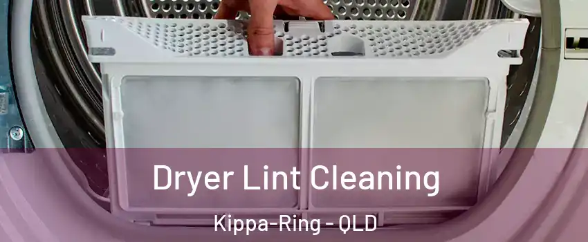 Dryer Lint Cleaning Kippa-Ring - QLD