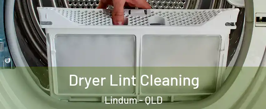 Dryer Lint Cleaning Lindum - QLD