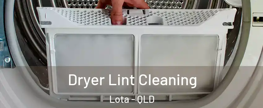 Dryer Lint Cleaning Lota - QLD