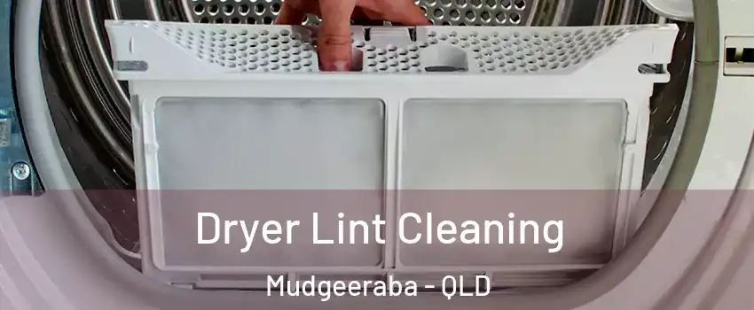  Dryer Lint Cleaning Mudgeeraba - QLD