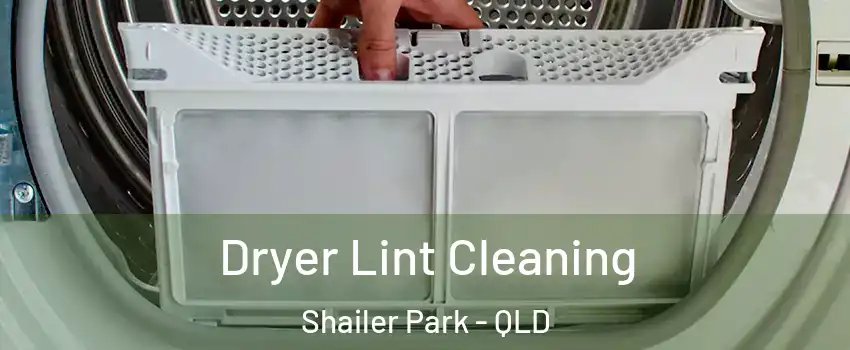 Dryer Lint Cleaning Shailer Park - QLD