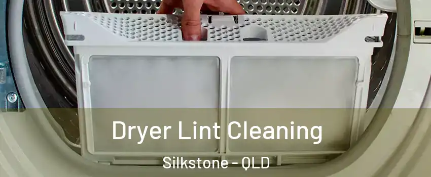 Dryer Lint Cleaning Silkstone - QLD
