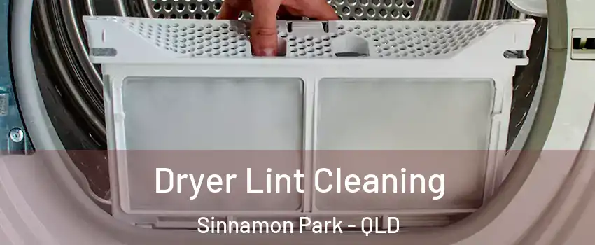 Dryer Lint Cleaning Sinnamon Park - QLD