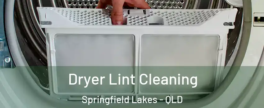 Dryer Lint Cleaning Springfield Lakes - QLD