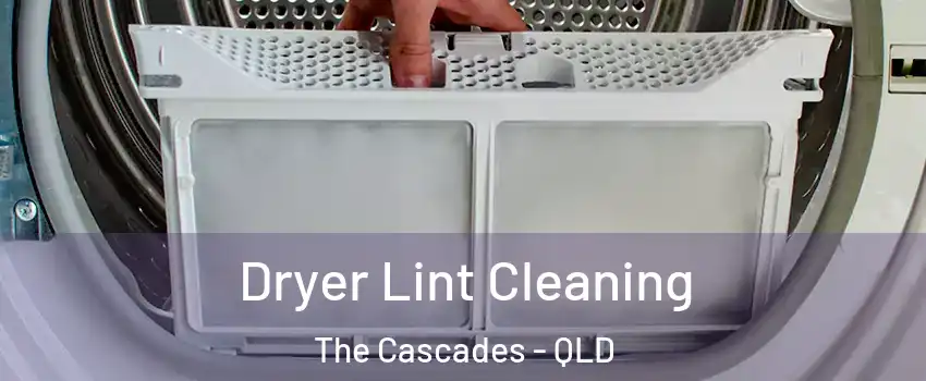 Dryer Lint Cleaning The Cascades - QLD