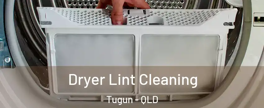 Dryer Lint Cleaning Tugun - QLD