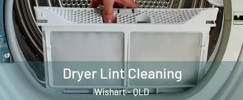 Dryer Lint Cleaning Wishart - QLD