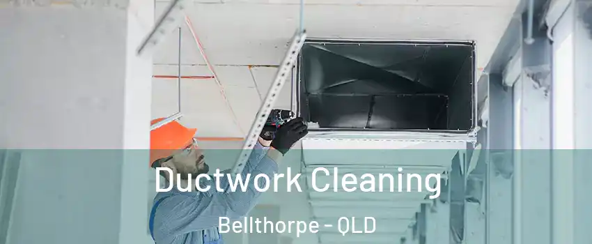 Ductwork Cleaning Bellthorpe - QLD