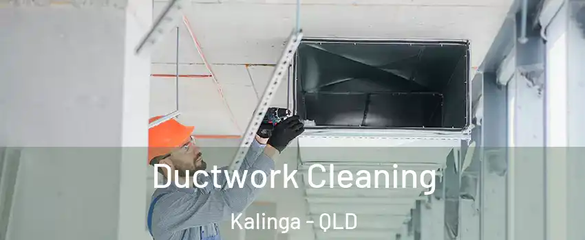 Ductwork Cleaning Kalinga - QLD