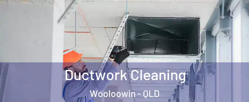 Ductwork Cleaning Wooloowin - QLD