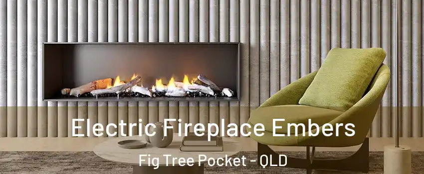 Electric Fireplace Embers Fig Tree Pocket - QLD