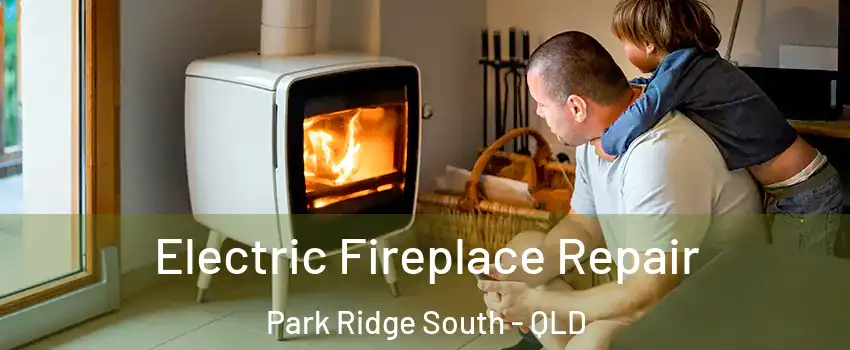 Electric Fireplace Repair Park Ridge South - QLD