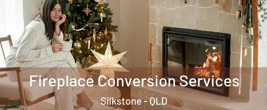  Fireplace Conversion Services Silkstone - QLD