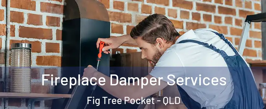 Fireplace Damper Services Fig Tree Pocket - QLD