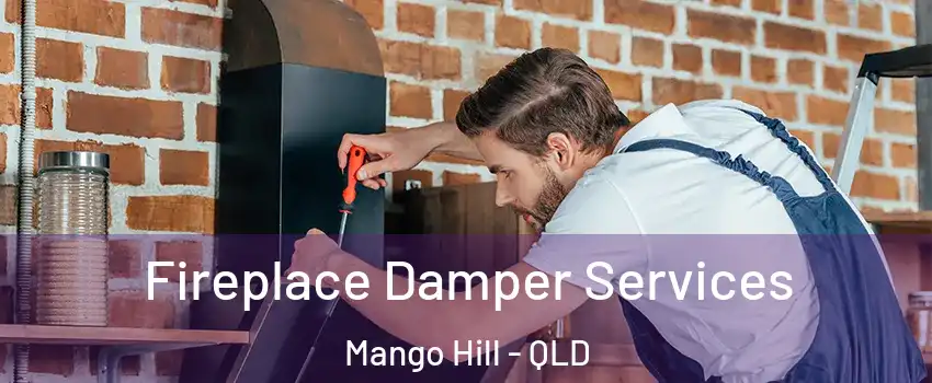 Fireplace Damper Services Mango Hill - QLD