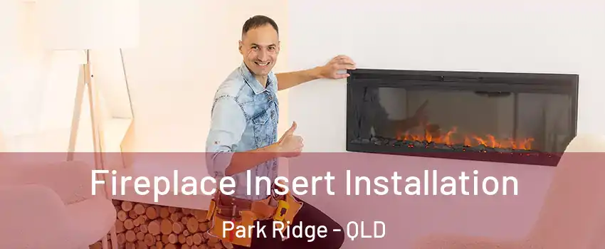 Fireplace Insert Installation Park Ridge - QLD