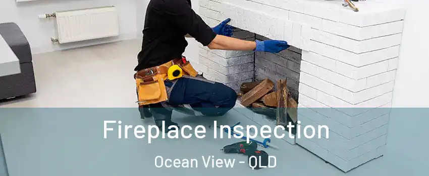 Fireplace Inspection Ocean View - QLD