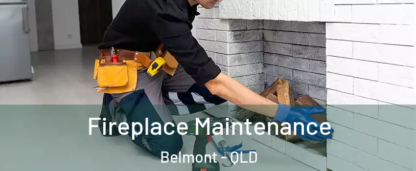 Fireplace Maintenance Belmont - QLD