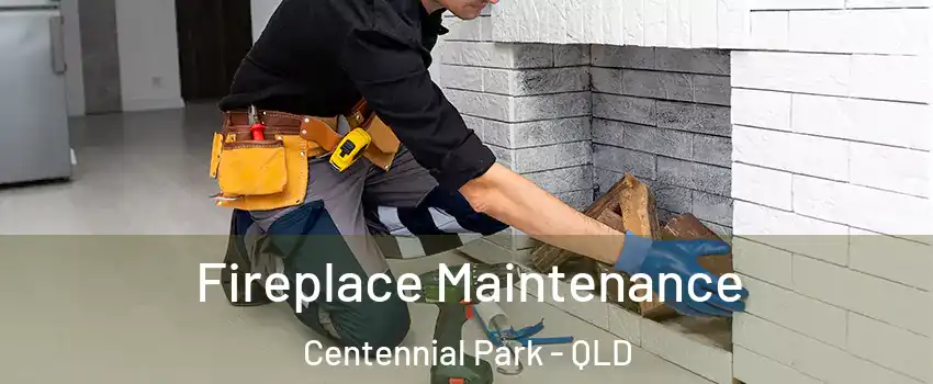 Fireplace Maintenance Centennial Park - QLD