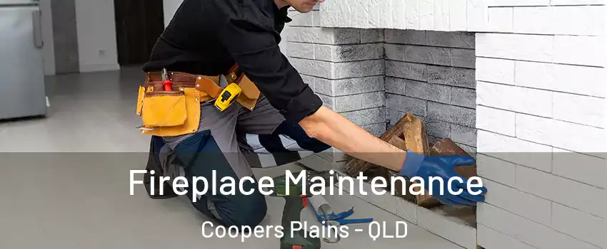 Fireplace Maintenance Coopers Plains - QLD