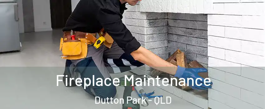 Fireplace Maintenance Dutton Park - QLD