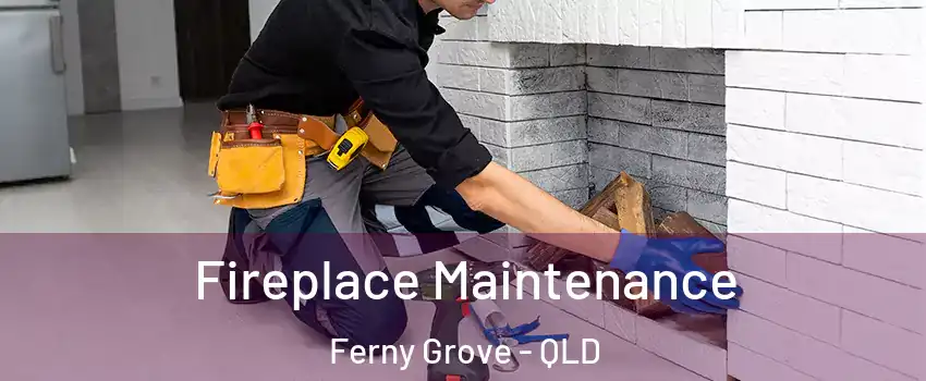 Fireplace Maintenance Ferny Grove - QLD