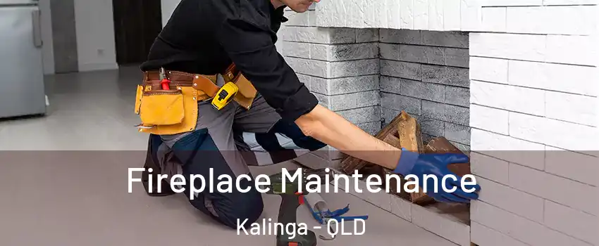 Fireplace Maintenance Kalinga - QLD
