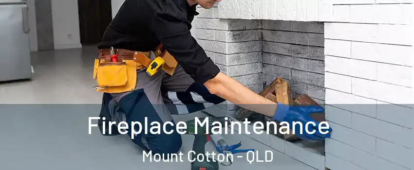 Fireplace Maintenance Mount Cotton - QLD