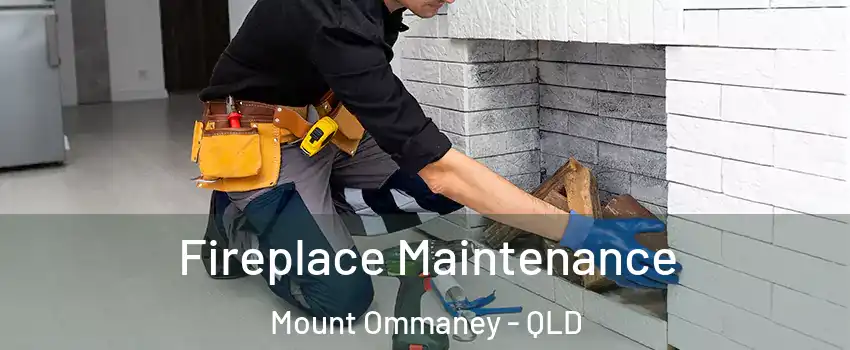 Fireplace Maintenance Mount Ommaney - QLD