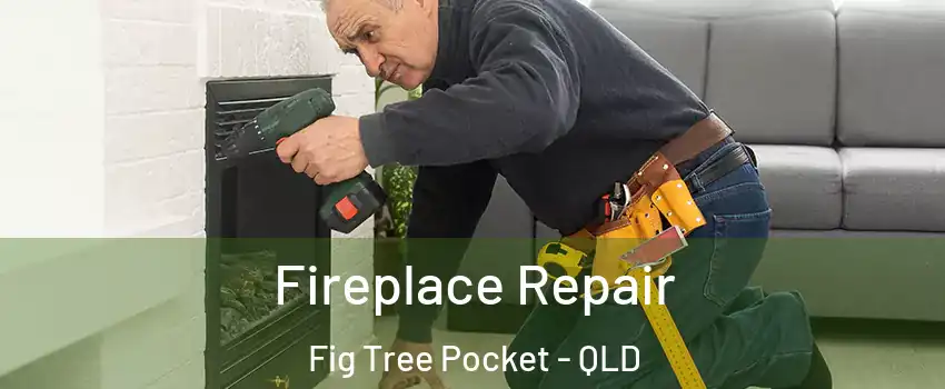  Fireplace Repair Fig Tree Pocket - QLD