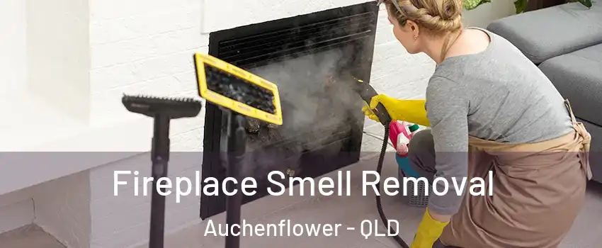 Fireplace Smell Removal Auchenflower - QLD